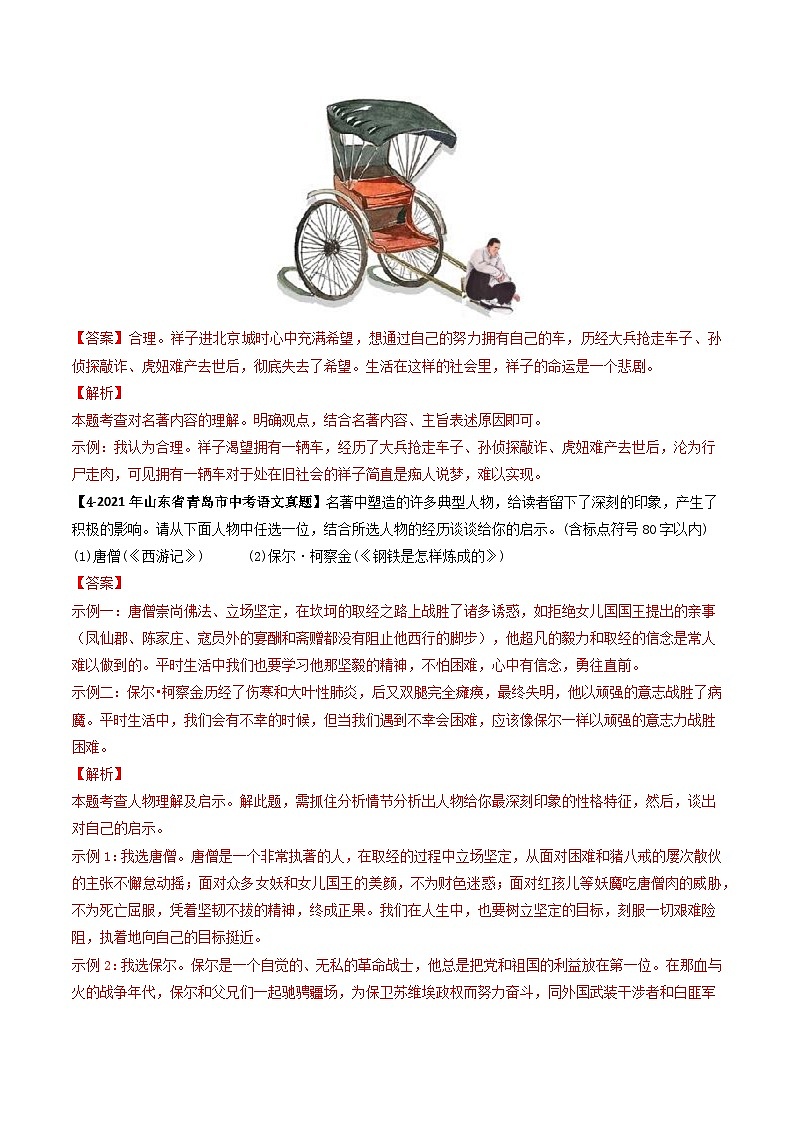 专题09 名著阅读综合题-备战2025年中考语文专项精练(山东青岛专用)(解析版)第3页