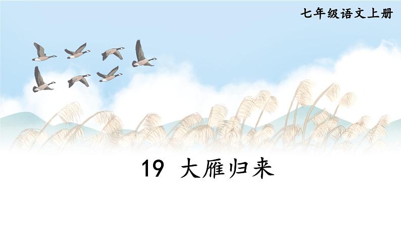 19 大雁归来第2页