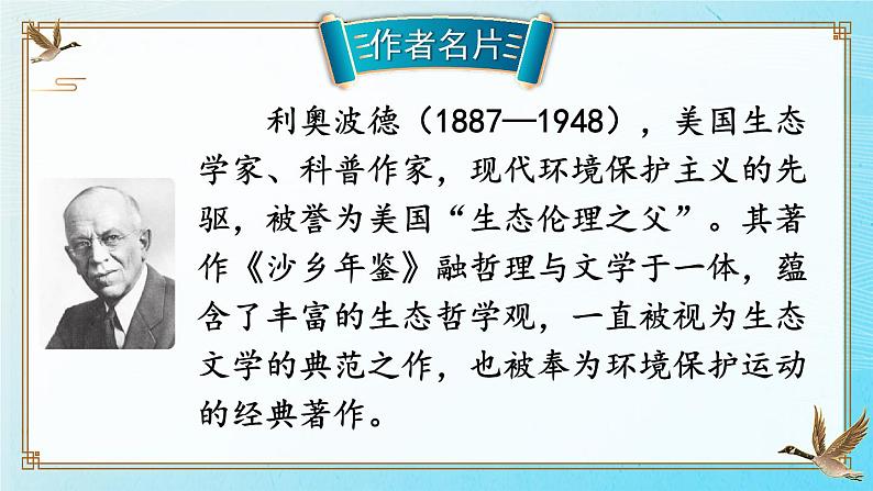 19 大雁归来第4页