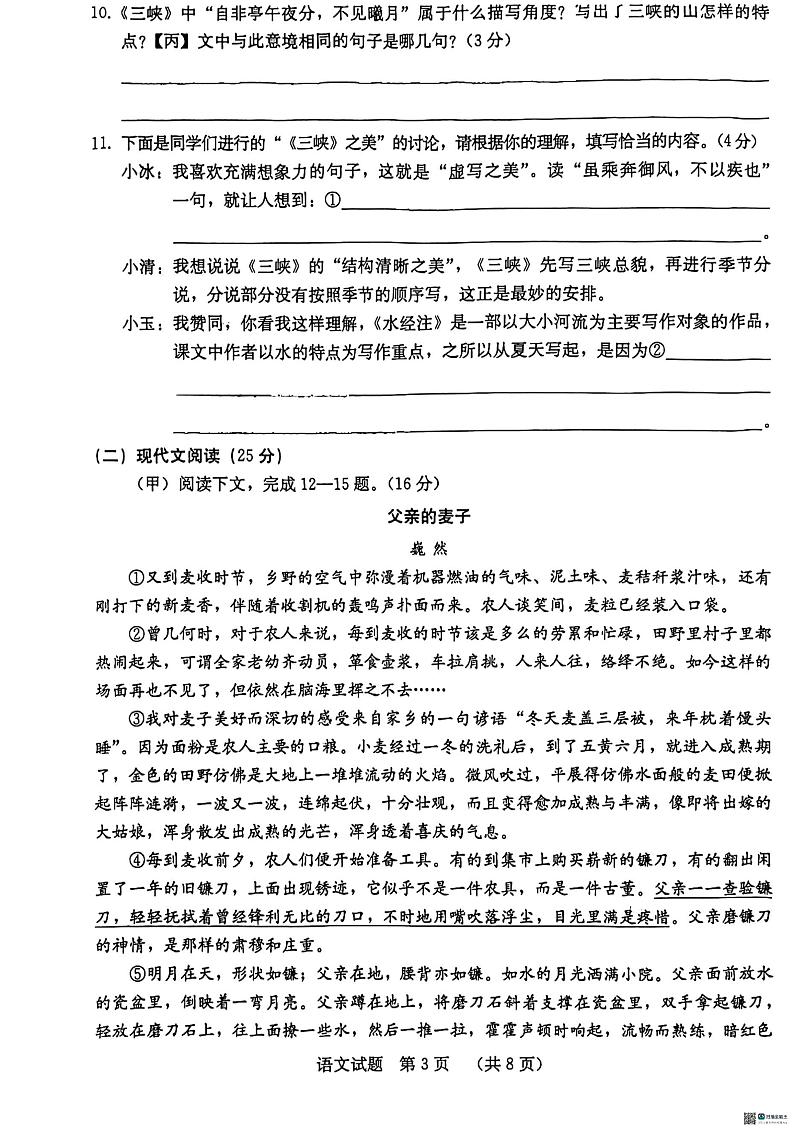 吉林省吉林市亚桥桃路中学校2024—2025学年八年级上学期第一次月考语文试题第3页