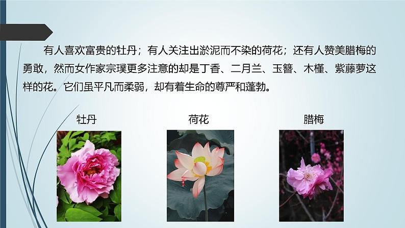课件:初中语文部编版七年级下册课件、学案及教案第18课 紫藤萝瀑布 第1课时(预学案)04