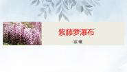 初中语文人教部编版（2024）七年级下册紫藤萝瀑布课前预习课件ppt
