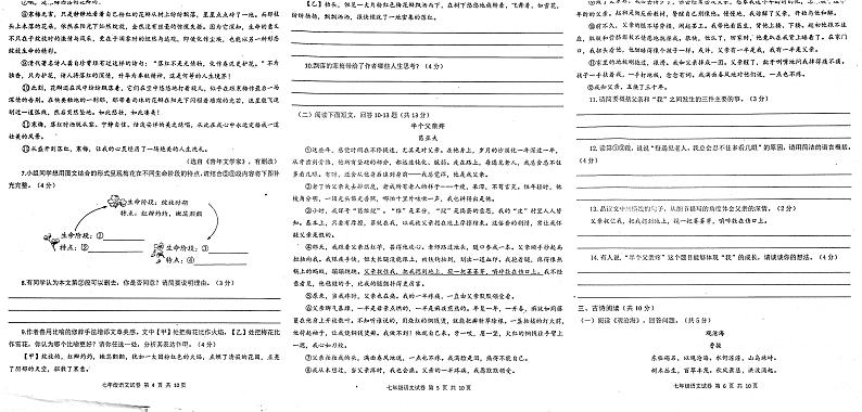 河南省南阳市镇平县2024-2025学年七年级上学期10月月考语文试题02