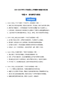 专题03 病句辨识与修改 练习【真题汇编】2024-2025学年八年级语文上学期期中真题分类汇编（统编版全国通用）