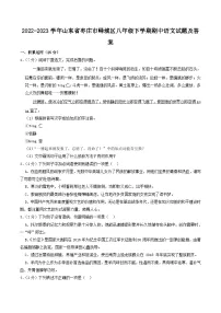 2022-2023学年山东省枣庄市峄城区八年级下学期期中语文试题及答案