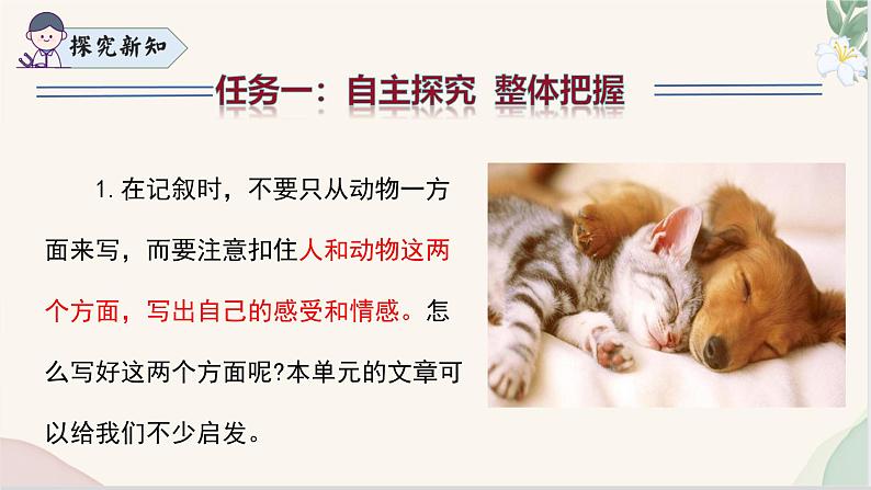 写作 《记述与动物的相处》(同步课件)2024-2025学年七年级语文上册同步精品课堂(统编版2024)07