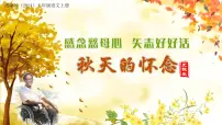 语文七年级上册(2024)5 秋天的怀念/史铁生作业ppt课件