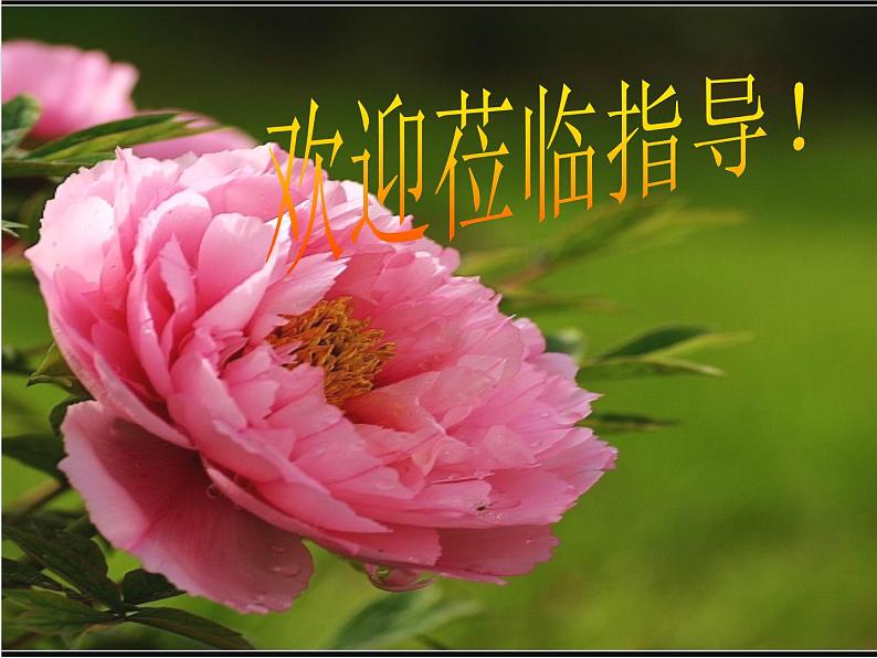 部编版语文八年级上册 10三峡 郦道元课件第1页
