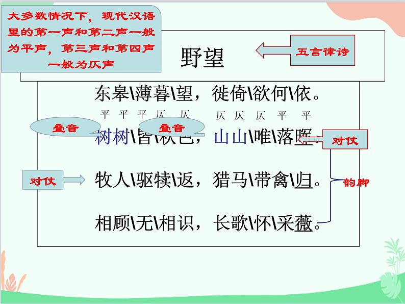 部编版语文八年级上册 13《野望》课件第3页