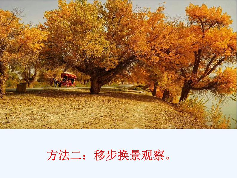 部编版语文八年级上册 学习描写景物课件第6页