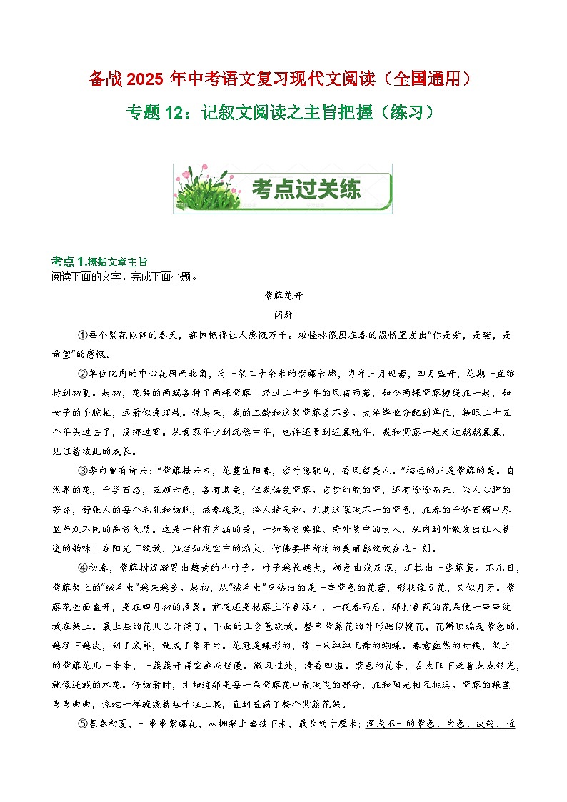 第1部分 专题12:记叙文阅读之主旨把握(练习)-2025年中考语文复习 现代文阅读(全国通用)(教师版)第1页