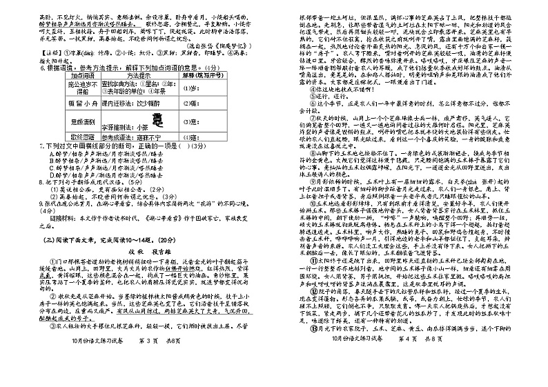 福建省漳州市第一外国语学校(漳州八中)2024-2025学年九年级上学期10月月考语文试题第2页