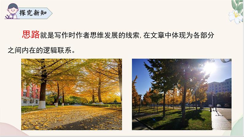 《思路要清晰》(同步课件)七年级语文上册同步(人教部编版2024)第6页