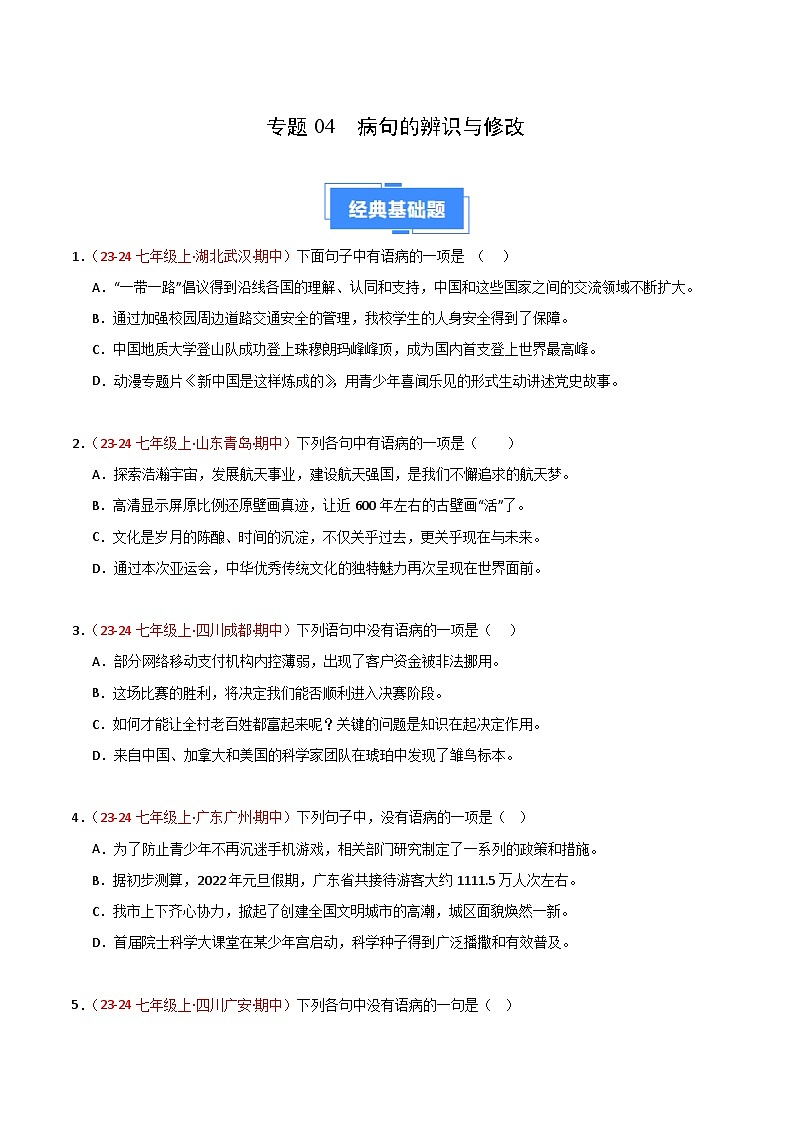 专题04 病句辨识与修改(原卷版)第1页