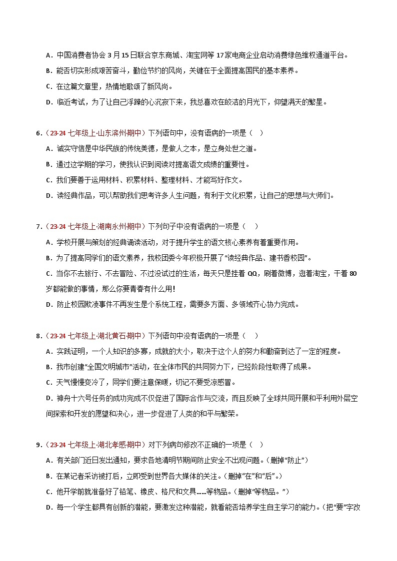 专题04 病句辨识与修改(原卷版)第2页