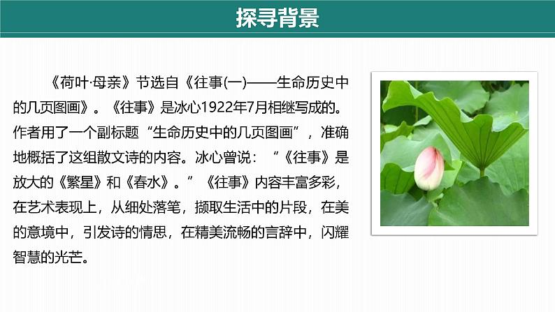 统编版(2024)七年级语文上册7散文诗二首-荷叶·母亲第1课时课件第7页