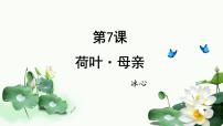 语文人教部编版(2024)荷叶·母亲/冰心教案配套ppt课件