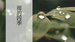 统编版（2024）七年级语文上册3雨的四季课件