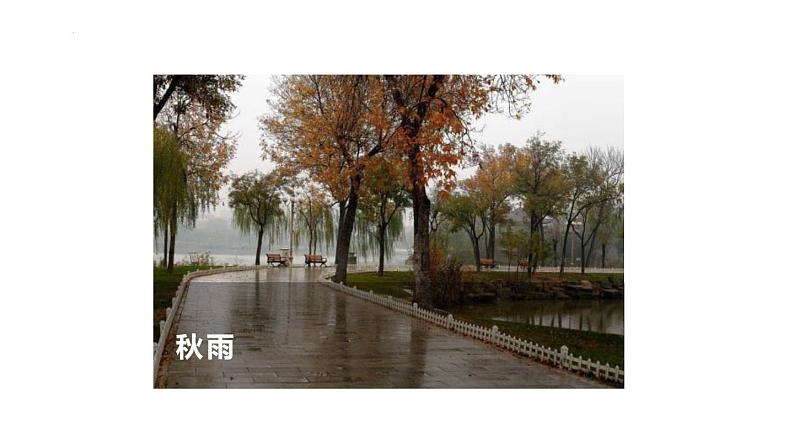 统编版(2024)七年级语文上册3雨的四季课件05