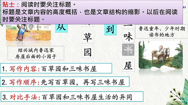 统编版(2024)七年级语文上册9从百草园到三味书屋课件第6页