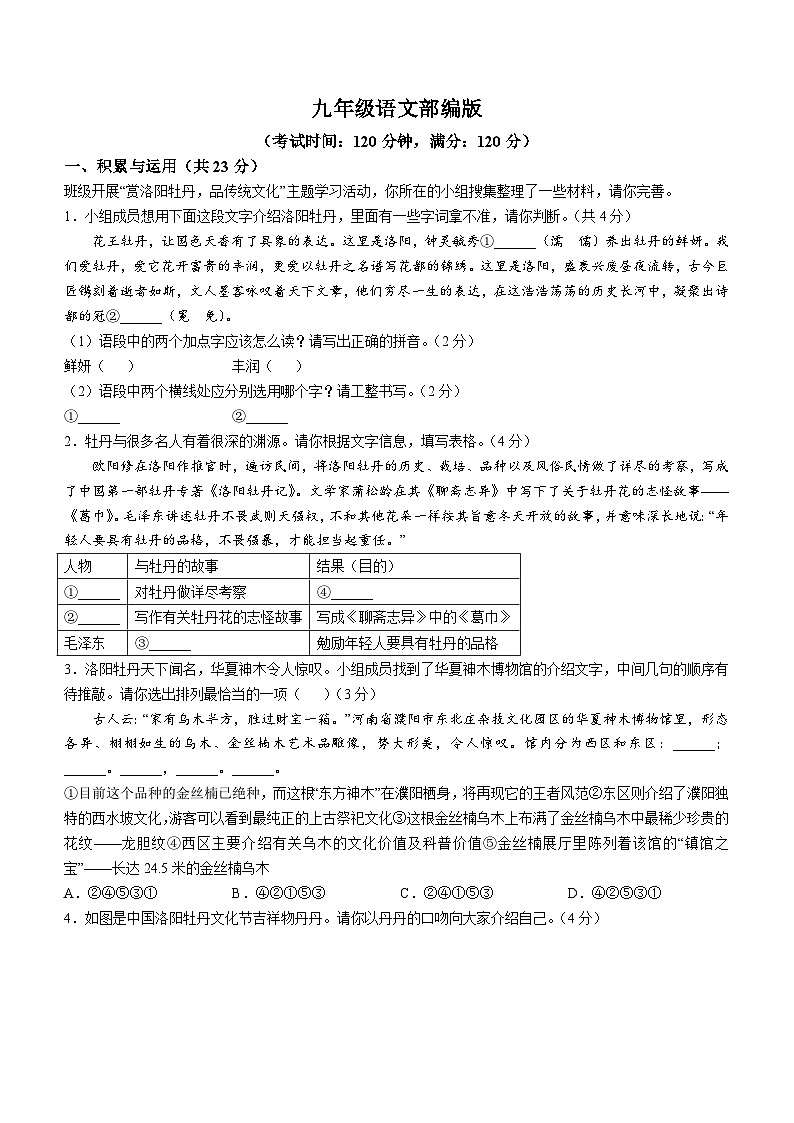 河南省开封市通许县2024-2025学年九年级上学期期中语文试题第1页