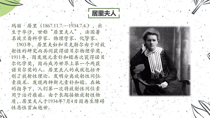 统编版(2024)八年级语文上册9美丽的颜色课件(同课异构四)第6页