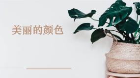初中语文美丽的颜色说课课件ppt
