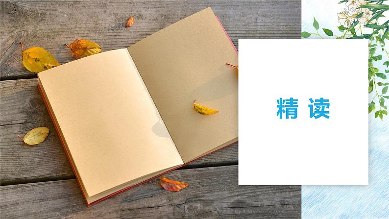 第三单元整本书阅读《朝花夕拾》 精读、略读、浏览 课件-2024-2025学年统编版语文七年级上册(2024)第3页