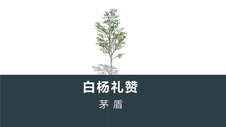 统编版(2024)八年级语文上册15白杨礼赞课件(同课异构二)第1页