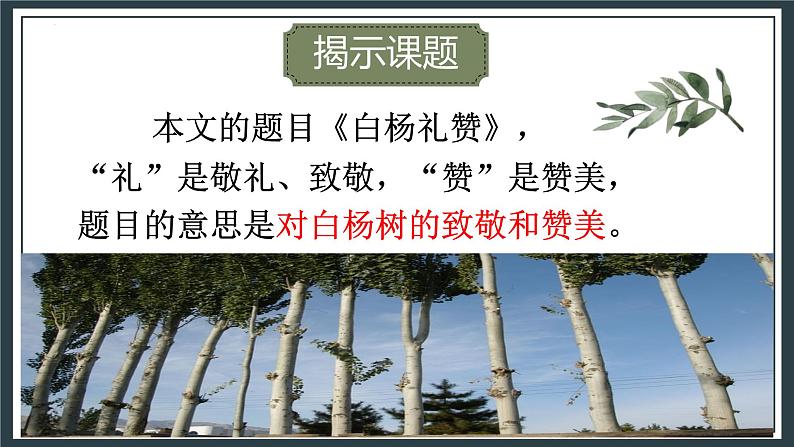 统编版(2024)八年级语文上册15白杨礼赞课件(同课异构二)第2页