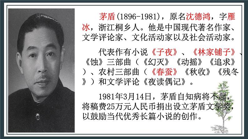 统编版(2024)八年级语文上册15白杨礼赞课件(同课异构二)第4页