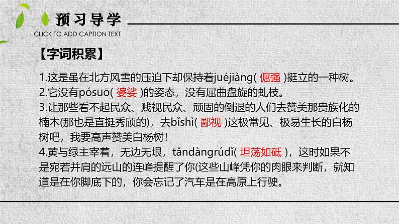统编版(2024)八年级语文上册15白杨礼赞课件(同课异构三)第5页