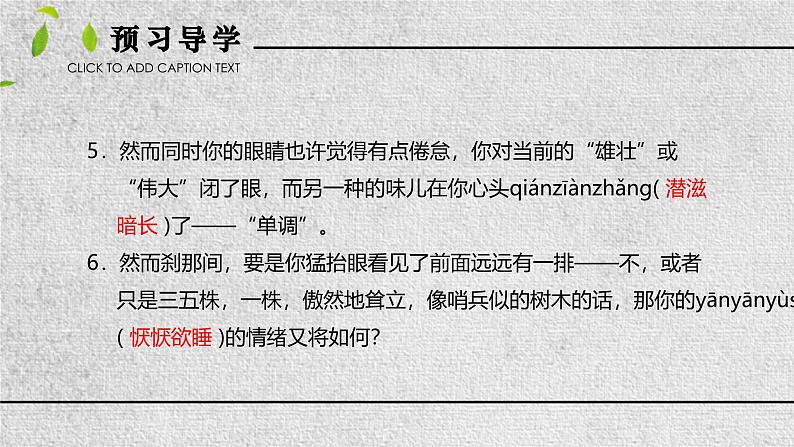 统编版(2024)八年级语文上册15白杨礼赞课件(同课异构三)第6页