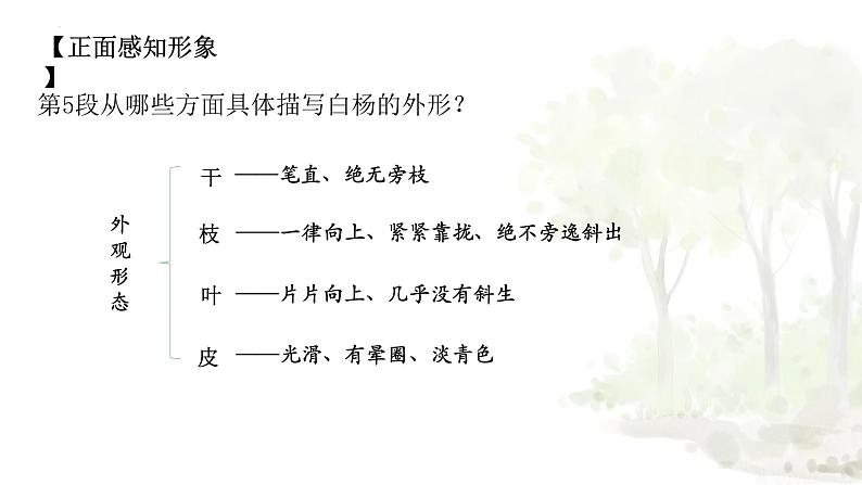 统编版(2024)八年级语文上册15白杨礼赞课件(同课异构四)第6页
