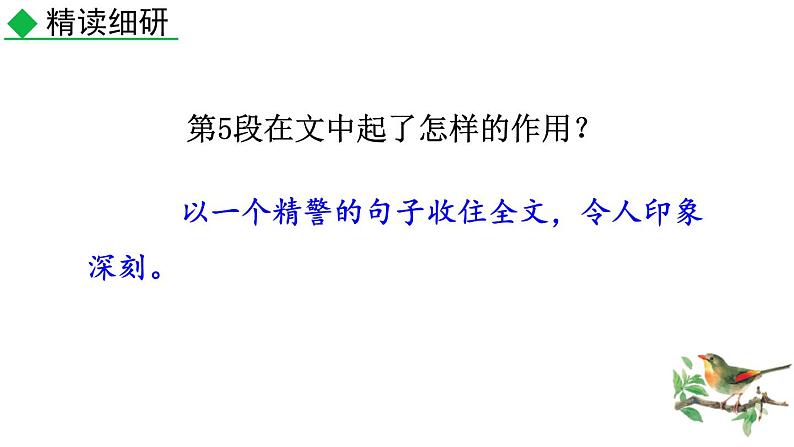统编版(2024)八年级语文上册16散文二篇-永久的生命课件(同课异构三)第8页