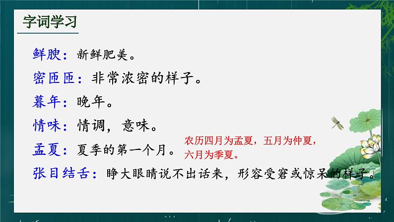 统编版(2024)八年级语文上册17昆明的雨课件(同课异构一)第8页