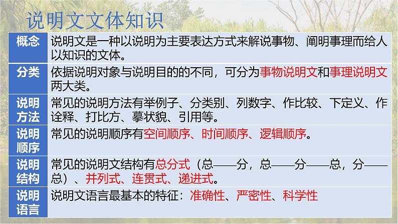 统编版(2024)八年级语文上册18中国石拱桥课件(同课异构四)第5页