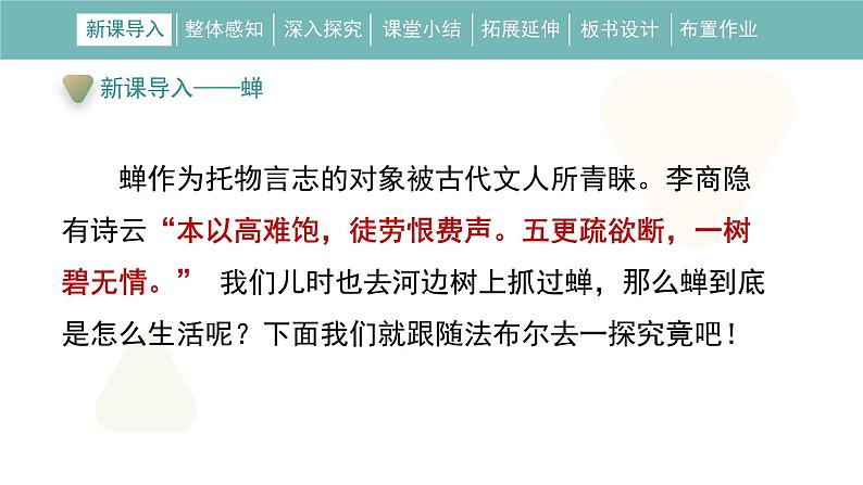 统编版(2024)八年级语文上册21蝉课件(同课异构三)第4页