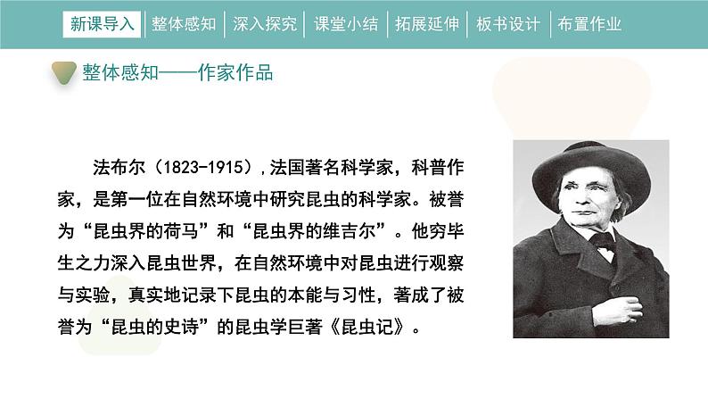 统编版(2024)八年级语文上册21蝉课件(同课异构三)第8页