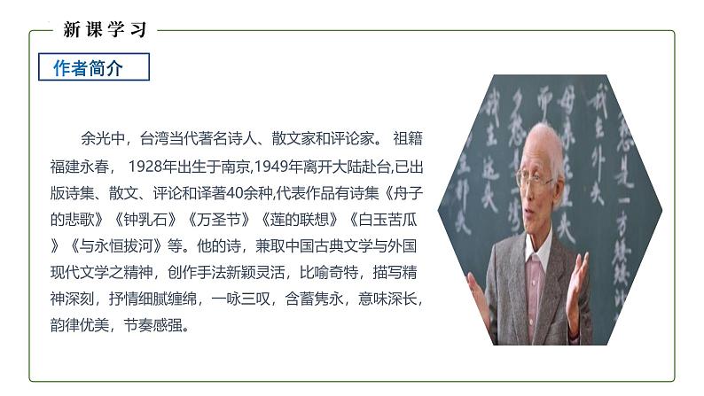 统编版(2024)九年级语文上册4乡愁课件(同课异构三)05