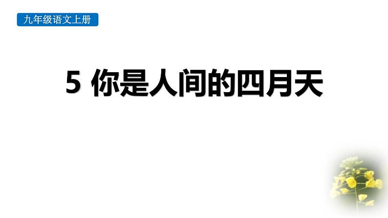 统编版(2024)九年级语文上册5你是人间的四月天课件(同课异构三)第1页