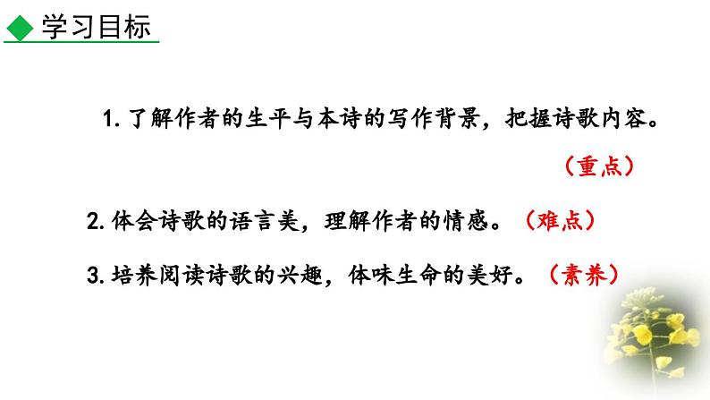 统编版(2024)九年级语文上册5你是人间的四月天课件(同课异构三)第3页