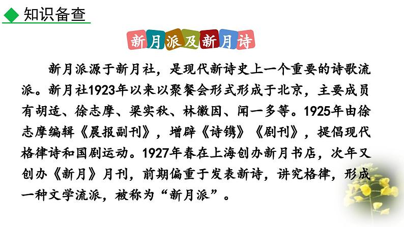 统编版(2024)九年级语文上册5你是人间的四月天课件(同课异构三)第6页