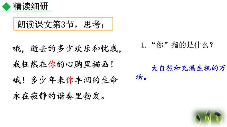 统编版(2024)九年级语文上册6我看第二课时课件08