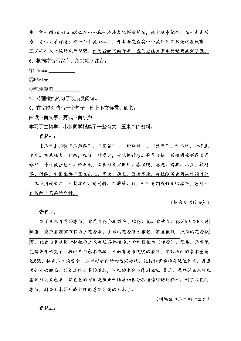 江苏省盐城市东台市2025届九年级上学期第一次月考语文试卷(含答案)第3页