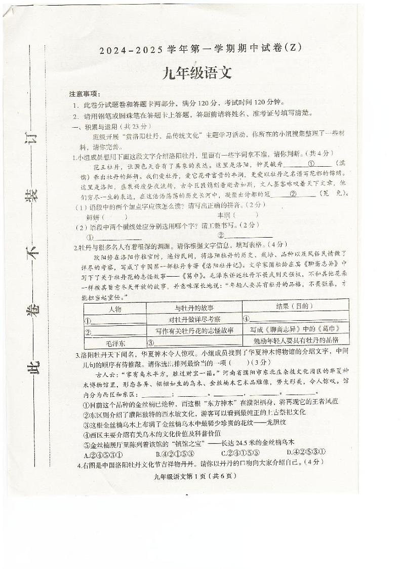 河南省周口市郸城县多校联考2024-2025学年九年级上学期10月期中语文试题第1页