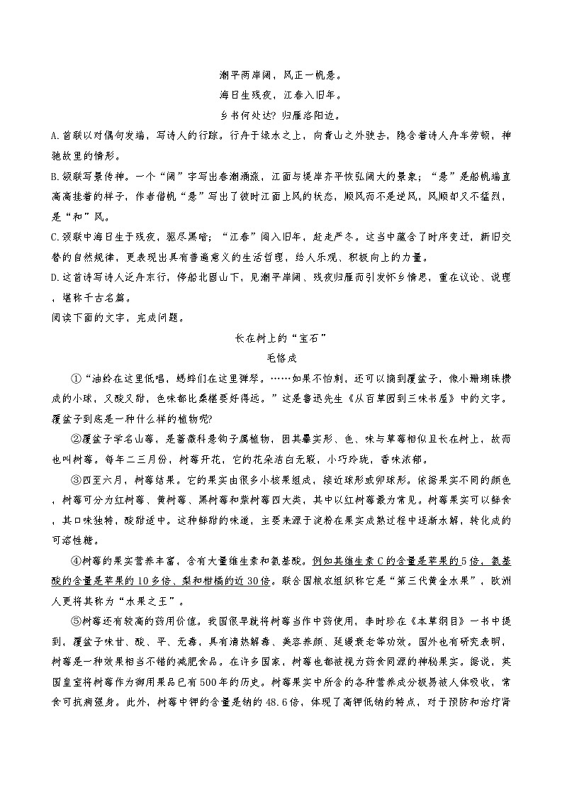 天津市红桥区2024-2025学年七年级上学期10月期中考试语文试题第2页