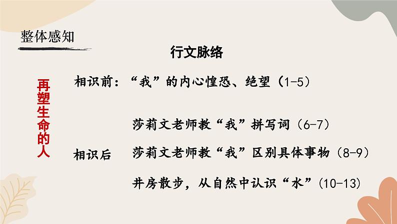 统编2024版七年级上册语文 11《再塑生命的人》课件第8页