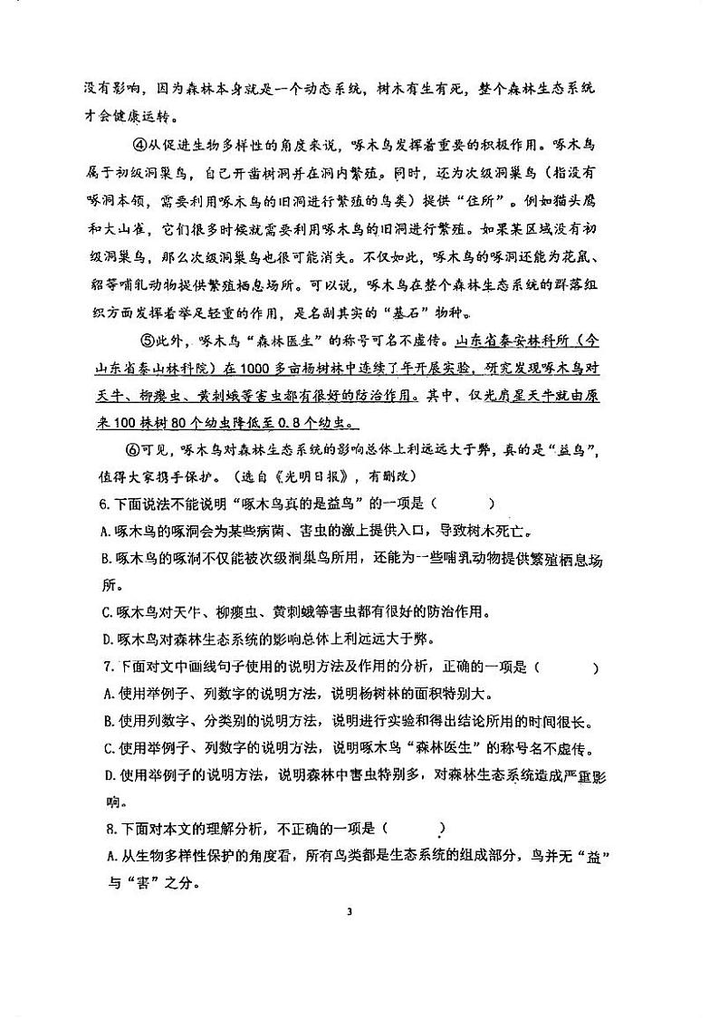 天津市滨海新区大港第六中学2024-2025学年八年级上学期期中考试语文试题第3页