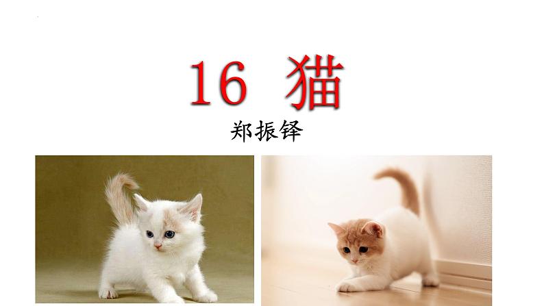 统编版语文七年级上册(2024)第17课《猫》课件第1页